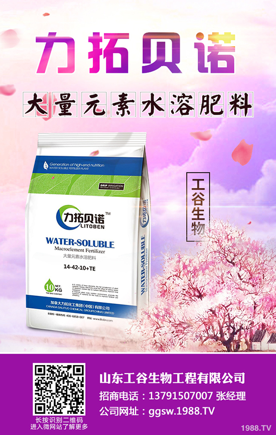     �������鼴���������������؃r�������A�y2019-10-22