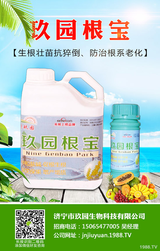 �������x��η����������x��Σ�����l(f��)��Ҏ(gu��)����