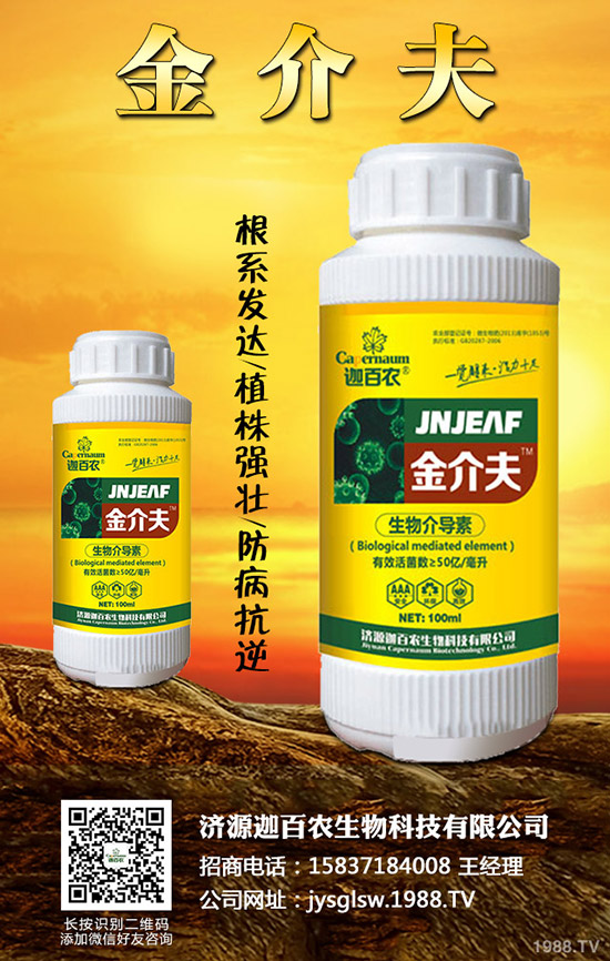 ���������o��������ô�k�������o���������\���c������