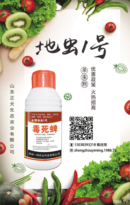 �����}����ηNֲ�������}����Ҫע��ʲô��