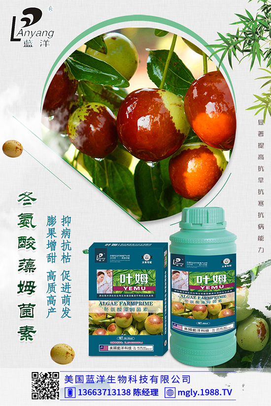 �ײ�ܛ��������������������ЩΣ�����ײ�ܛ�����İl(f��)���c����