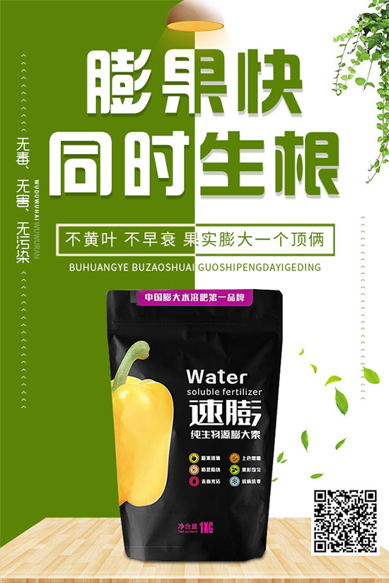 白菜霜霉病是如何引起的?有哪些危害?白菜霜霉病的預(yù)防措施