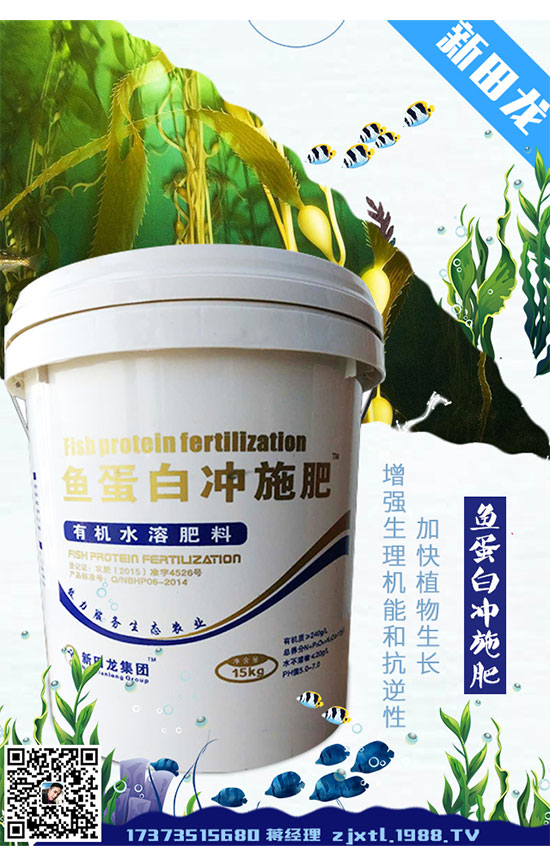 種植菠菜為什么出苗少?如何促進菠菜發(fā)芽出苗?