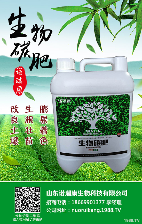 ����������ԓ��ô�N�������@���c���p�ɷN����������