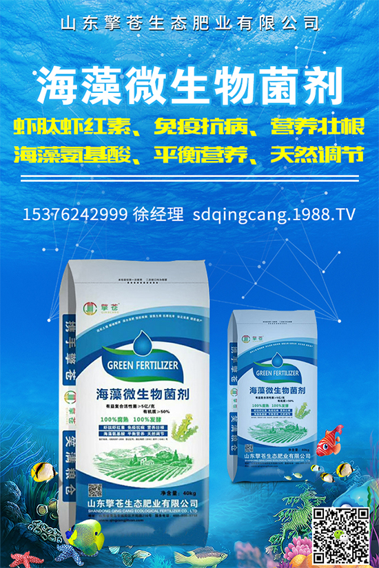 油麥菜霜霉病有哪些危害癥狀?有哪些表現(xiàn)?油麥菜霜霉病的防治措施