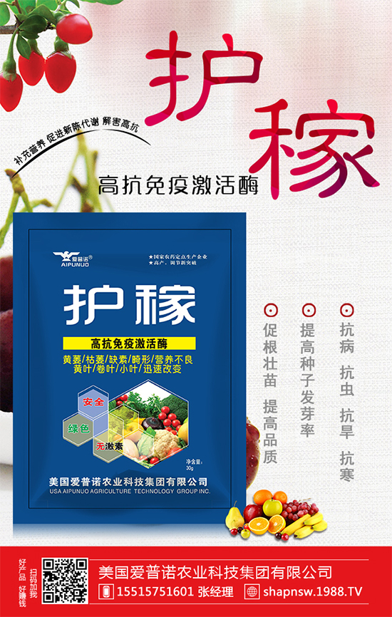 ɽ髵Ĺ�Ч�c���ã���ɽ���ʲô��̎��  