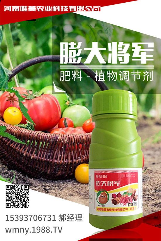 ������ô�Nֲ�������߮a(ch��n)�Nֲ����