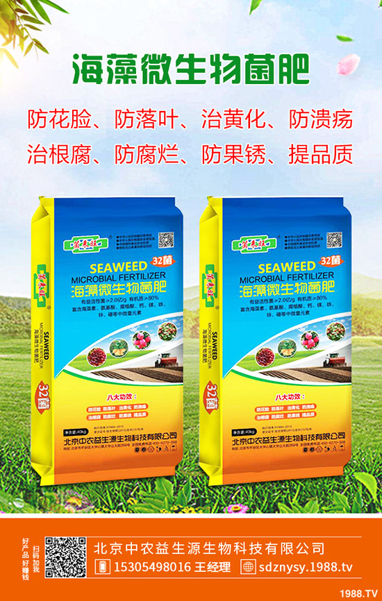 2019-10-30今日局部區(qū)域復(fù)合肥市場行情及參考報(bào)價(jià)