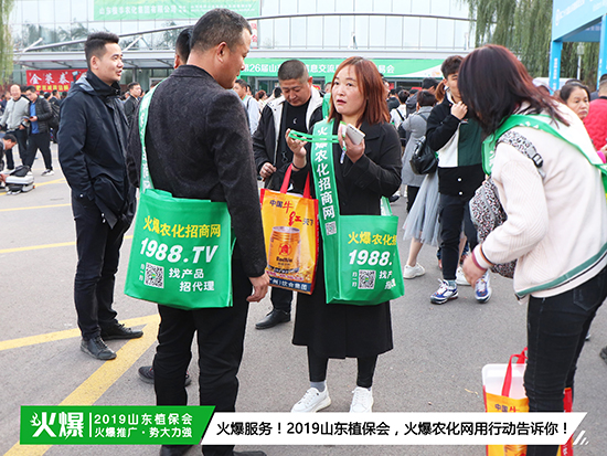 �F(xi��n)��ֱ����2019ɽ�|ֲ����(hu��)ʢ���_Ļ��ǧ�̅R��������ȼ��ȫ��!-5