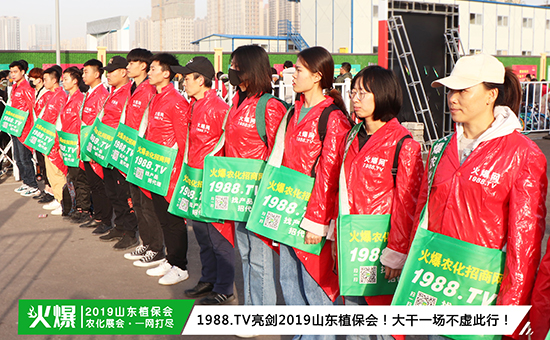 �F(xi��n)��ֱ����2019ɽ�|ֲ����(hu��)ʢ���_Ļ��ǧ�̅R��������ȼ��ȫ��!