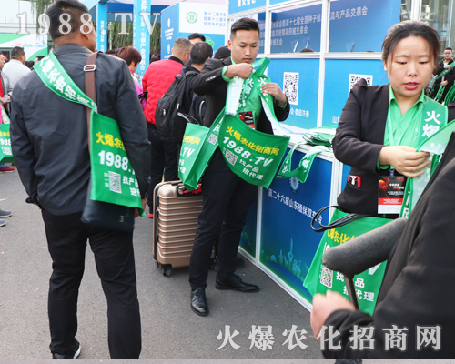 2019ɽ�|����ֲ������1988.TV�������F(xi��n)�����Pע��