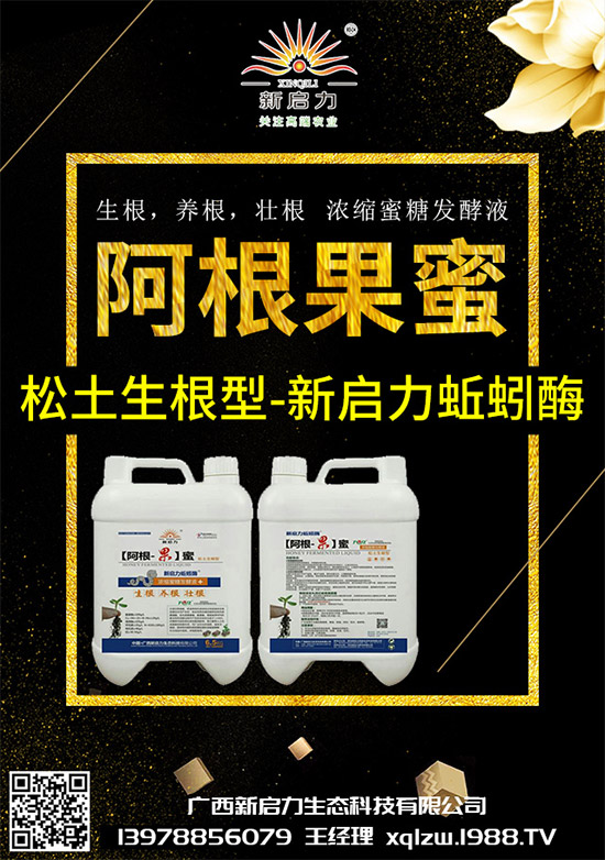 甘藍(lán)黑脛病有哪些危害?秋甘藍(lán)病害的發(fā)生與防治技巧