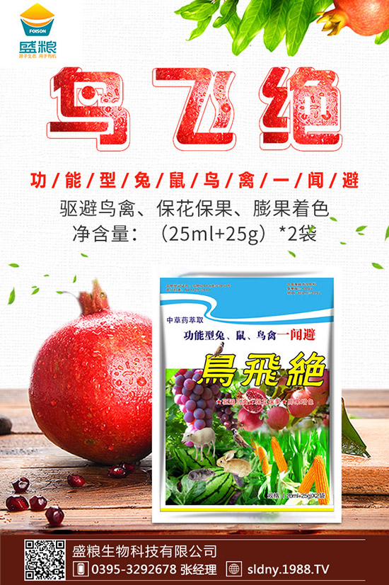 �������t������ڷ����������t���ڷ۷�������Щ��