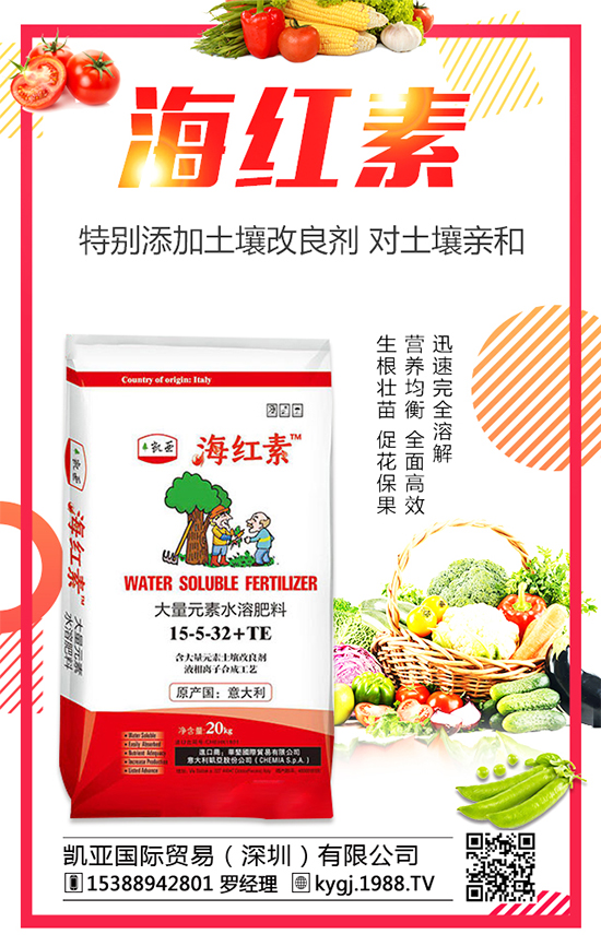 �����˵ķNֲ�r(sh��)�g�����������˷Nֲ������