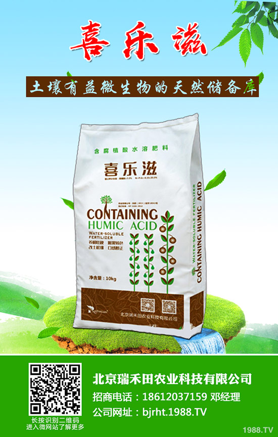 怎樣才能種好豆角呢?豆角的種植管理技巧!