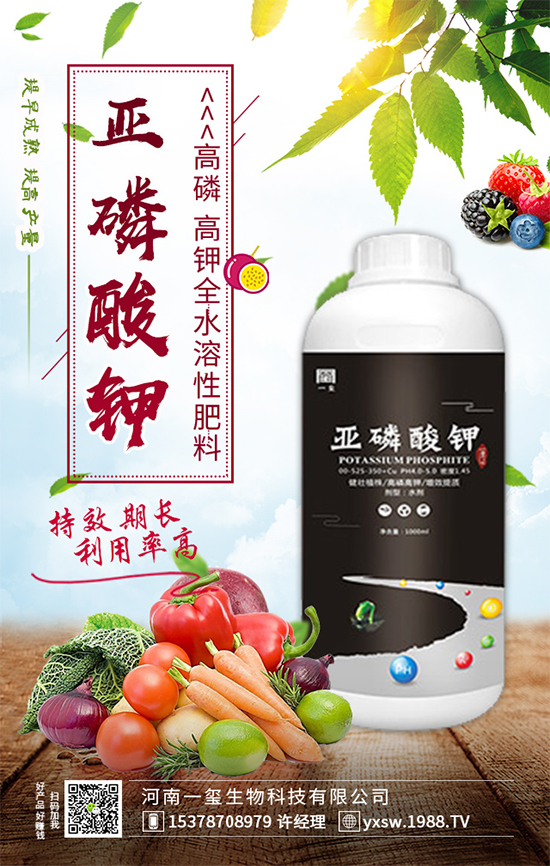 ���Ҙ��ʲô���Y(ji��)�������Ҙ䲻�Y(ji��)����(sh��)�ĵĽ�Q������