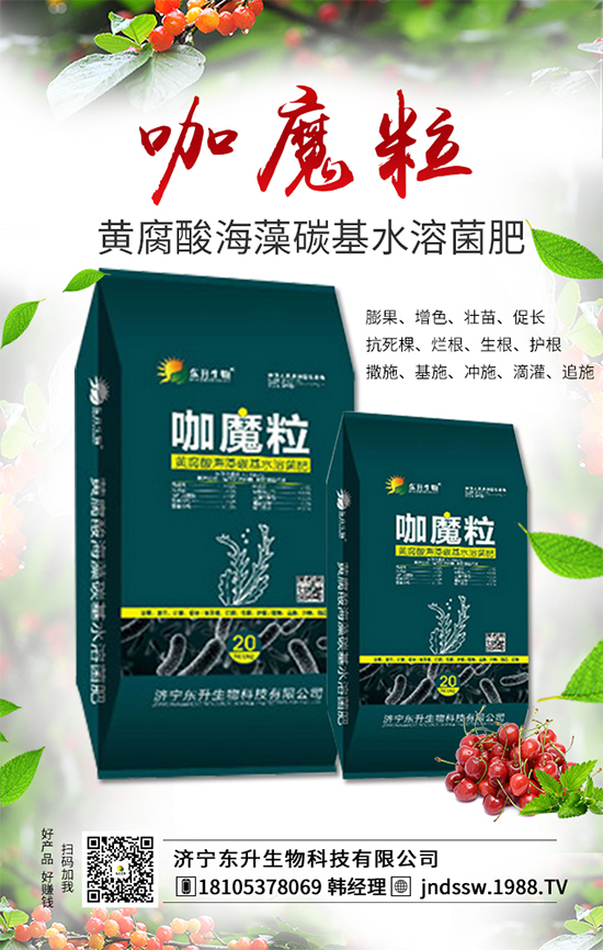 大棚草莓旺長(zhǎng)的原因,大棚草莓旺長(zhǎng)解決措施