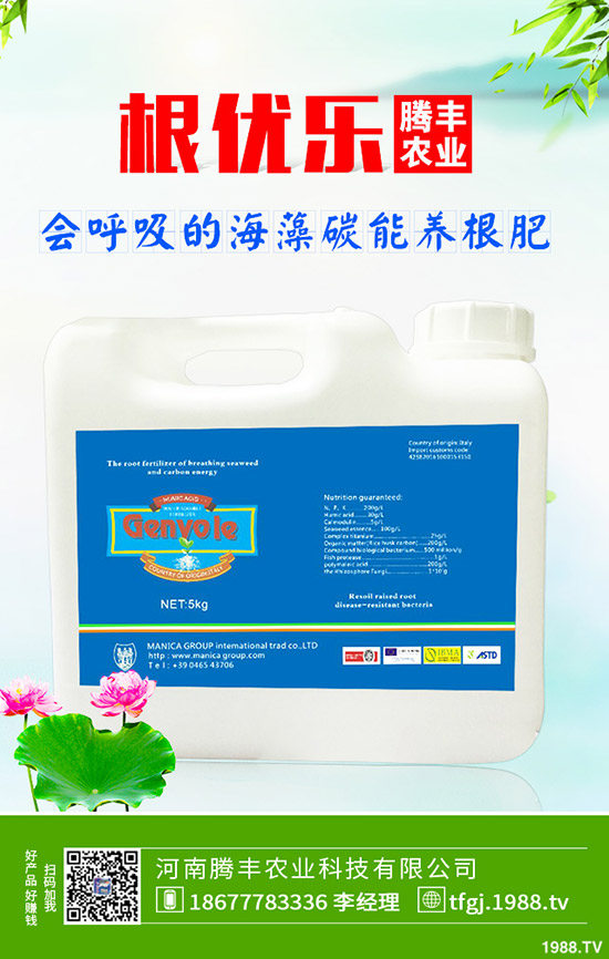 ʯ��ְ߲���(d��o)�°l(f��)�S���~��ô�k��ʯ��ְ߲��ķ���Ҫ�c(di��n)��