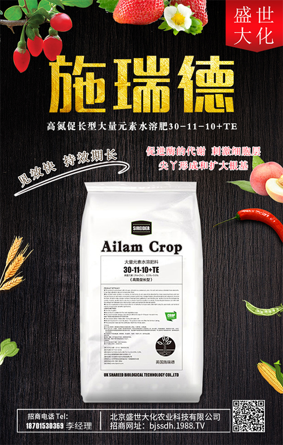 ʯ����ʲô�I(y��ng)�B(y��ng)�r(ji��)ֵ��ʯ������Щʳ�ù�Ч��