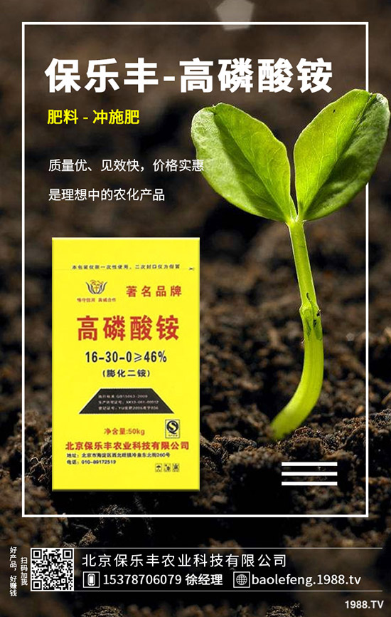 ����(n��i)���@�r����ϝq�᣿2019.11.29���ո������@���S��r��