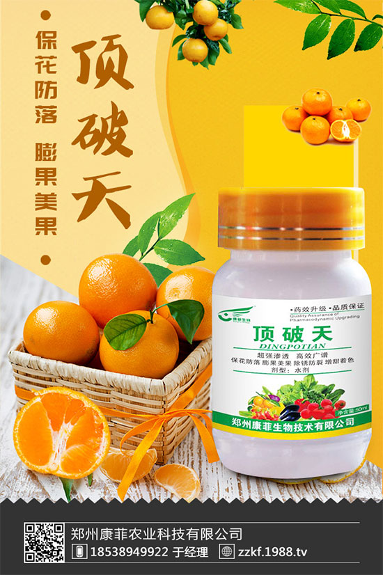 ���ٞ�ʲô���S�~�������S�~�Ľ�Q��ʩ��