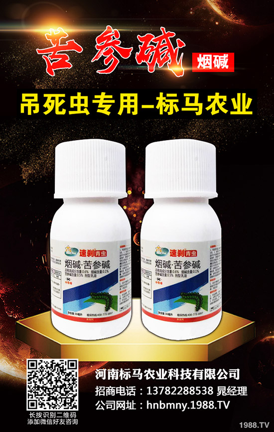 �������x��Σ���Y��l(f��)���l������������Щ���η�����