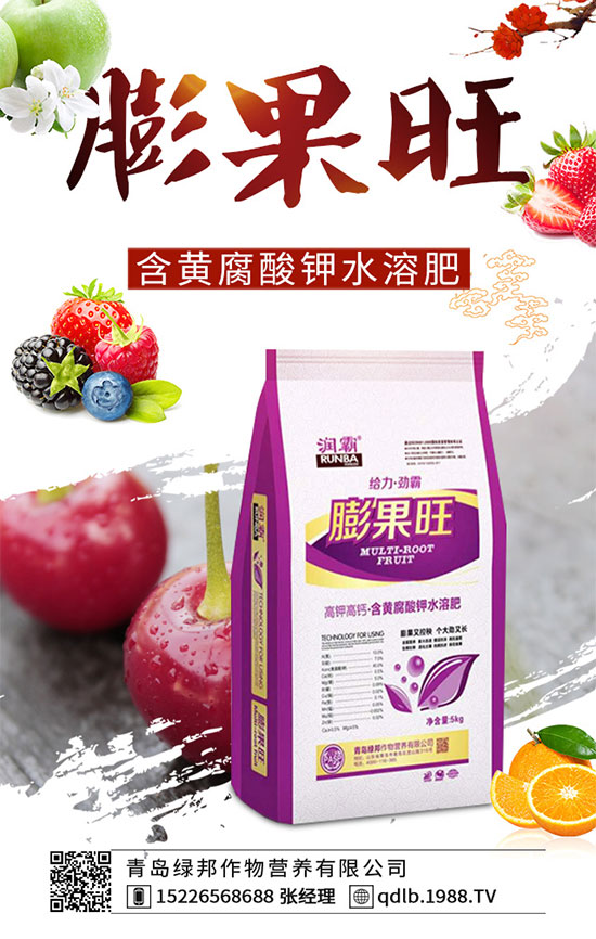 草莓種植覆蓋地膜有什么好處?鋪地膜時(shí)注意事項(xiàng)你知道嗎?