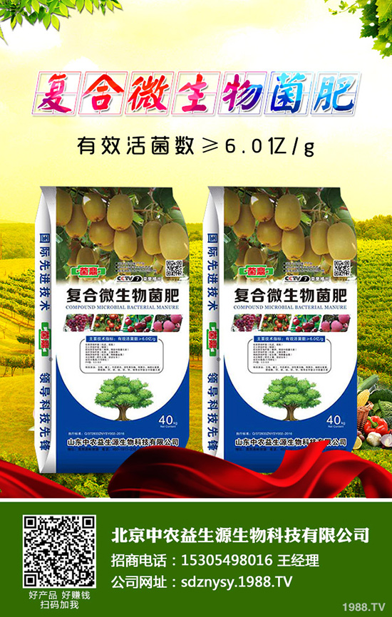 �����˵Ĺ�Ч�c�����������˵ĠI(y��ng)�B(y��ng)�r(ji��)ֵ��