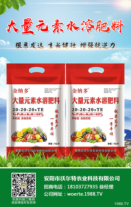 ������ô�N�����۷NֲҪ������Щ��