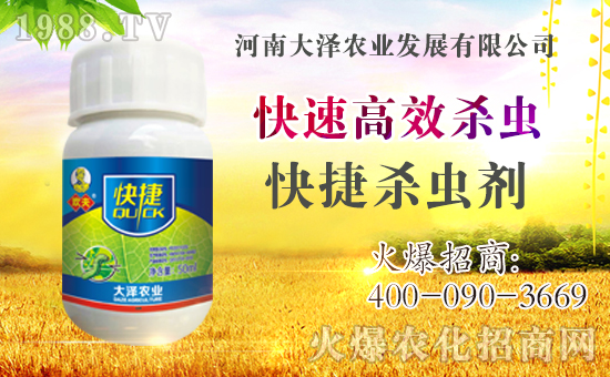 �������\�l(f��)չ�����ϴ���r(n��ng)�I(y��)�ٴκ��s1988.TV