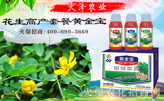 �������\�l(f��)չ�����ϴ���r(n��ng)�I(y��)�ٴκ��s1988.TV