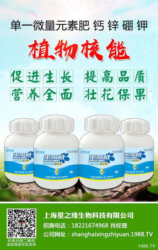 ѿ�����ӷNֲ��ѿ�˷Nֲ���g(sh��)���˽������