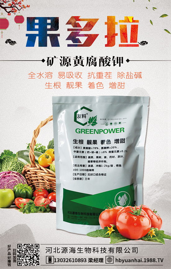 大蒜今日價格多少錢一斤?2020年大蒜種植前景如何?