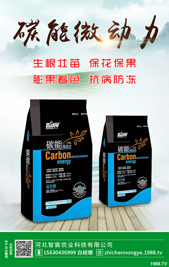 ħ��ԓ��ô�N��ħ��߮a(ch��n)�Nֲ��������