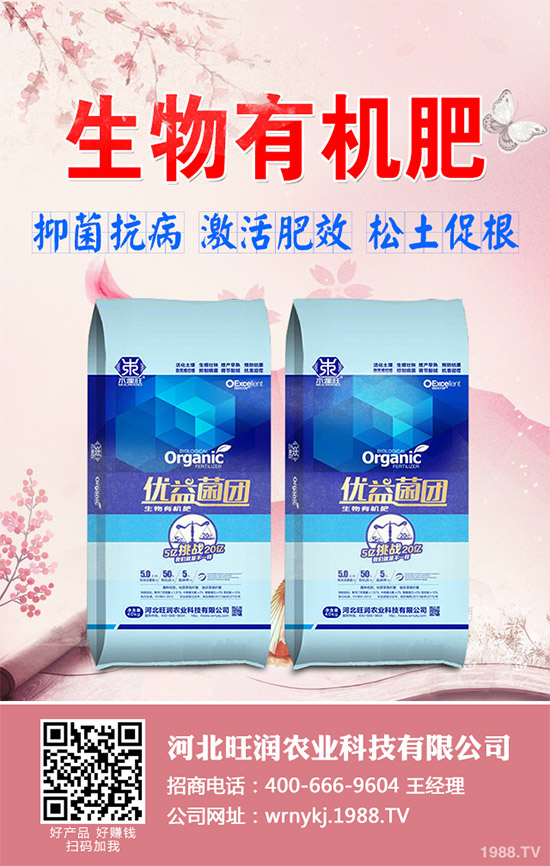 ����²�ԓ��ô�N����������²˷Nֲ���g(sh��)Ҫ�c(di��n)