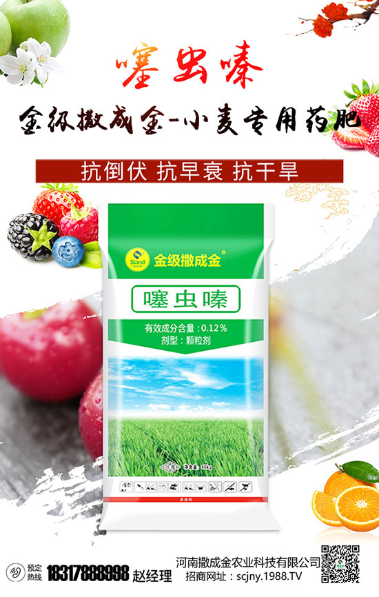 糞肥優(yōu)缺與隱患,使用方法很關鍵,高產高收不算難!