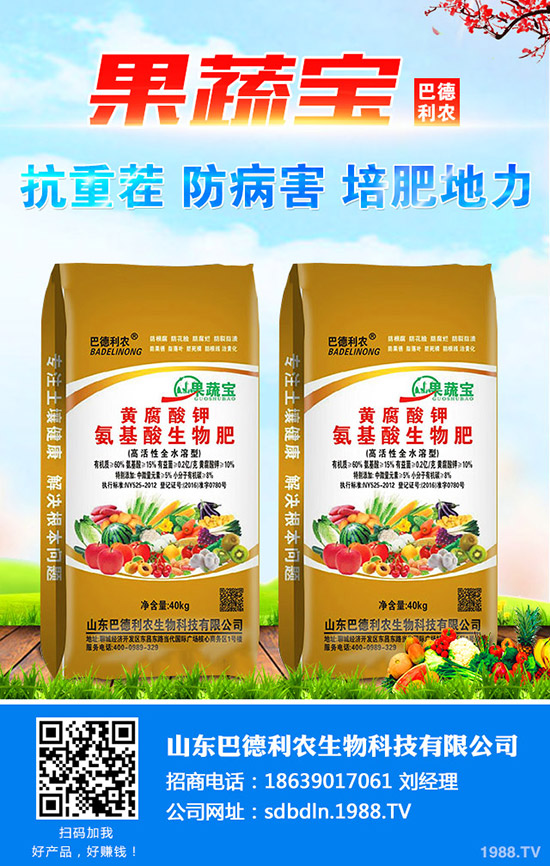     2019��12����Ѯ���؃r(ji��)���B�B�ϝq��ԭ�����������������