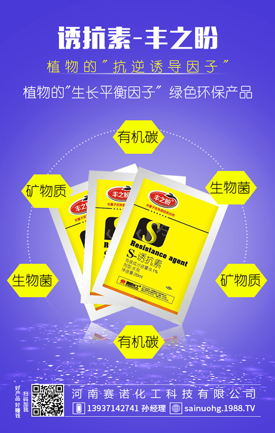 �׷ʡ����p���b�e����e�Ϯ�(d��ng)