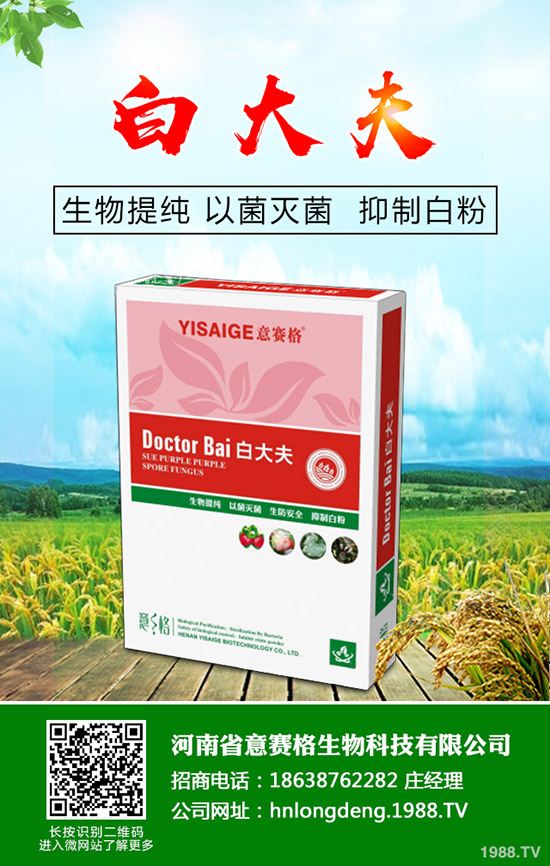 ���Ѷ���ʲô�r���^�ã����Ѷ�����ʲô������