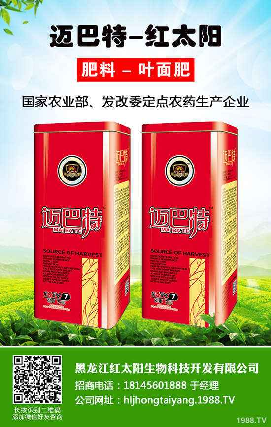 ���}�Nֲ��ýY(ji��)����һ��Y(ji��)�״ι������}�Nֲ������