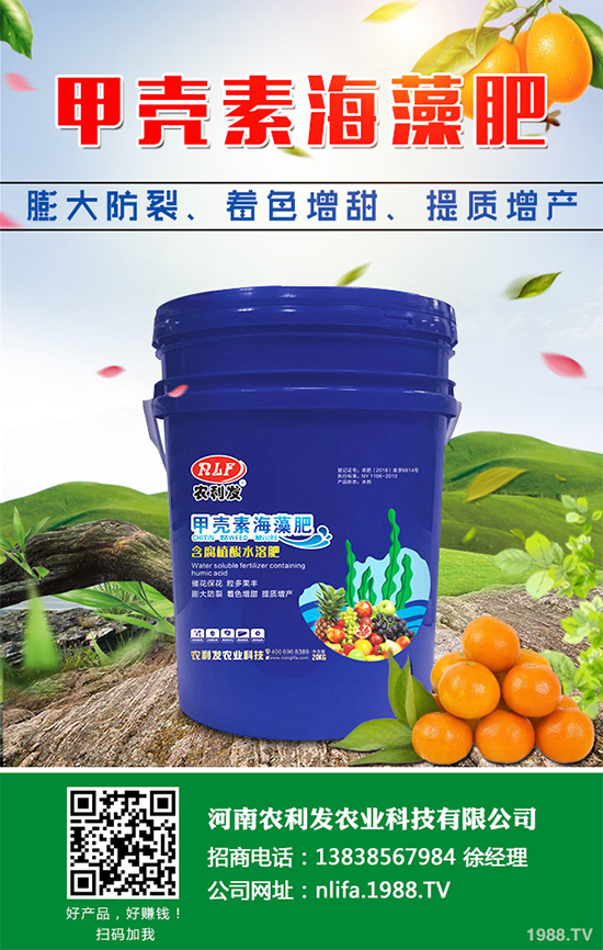 Ģ���Nֲ��Ҫʲô�l����Ģ���Nֲ�h(hu��n)��Ҫ��