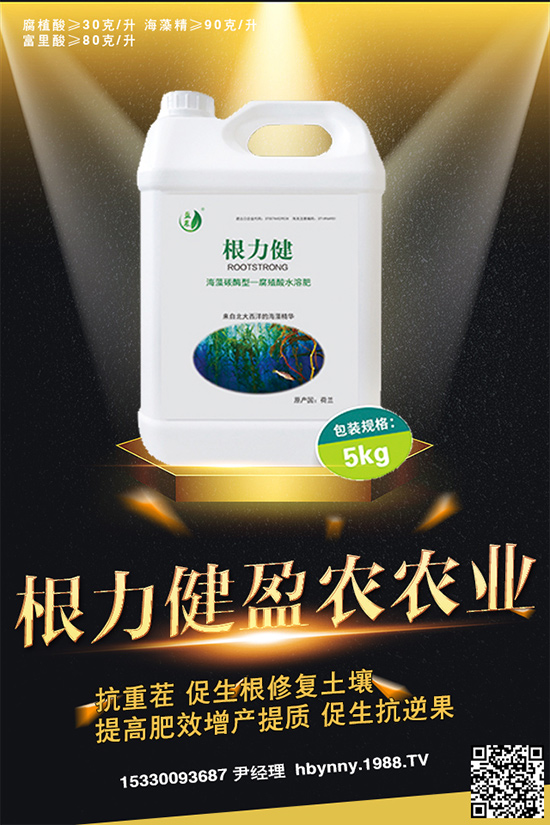     ������ȥ�������_�����_���Ϸ���ע�⡰���ɡ�