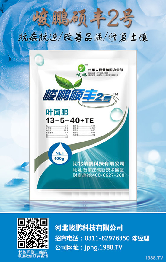 ����ʲô�r��׷��������׷��ע��Ҫ�c��