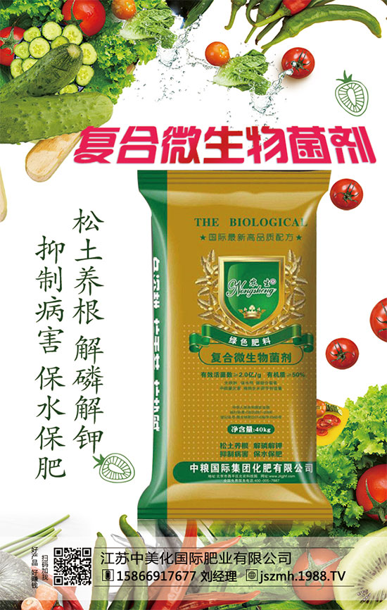 蘆筍市場(chǎng)價(jià)多少錢一斤?2020年蘆筍種植前景怎么樣?種植效益分析!