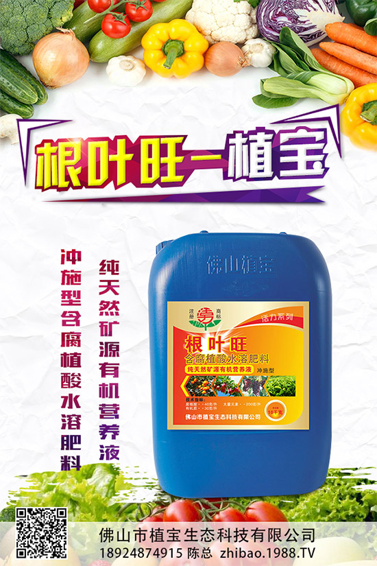 柚子有許多品種,各有各的風(fēng)味。但眼尖的人會發(fā)現(xiàn),市面上賣的紅肉蜜柚比普通蜜柚要貴上許多。同樣是柚子,外表看起來也差不多,紅肉蜜柚憑什么比白肉柚子貴?