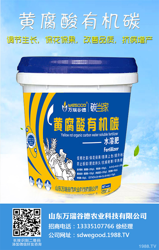 ħ��r(ji��)������Xһ�2020��ħ��Nֲ���Ј�����