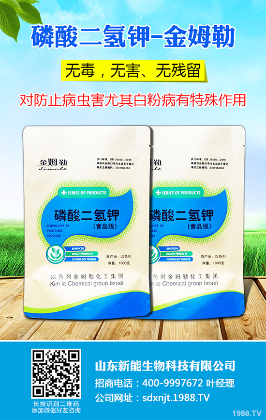 ħ��r(ji��)������Xһ�2020��ħ��Nֲ���Ј�����