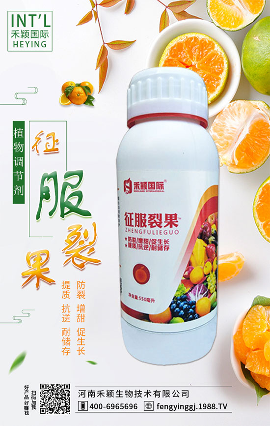 ľ����ʲô�r(sh��)�g�Nֲ��ľ���˷Nֲ������