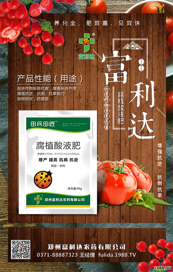 �Nֲʲôˎ����ٍ�X��2020����ˎ�ķNֲǰ������