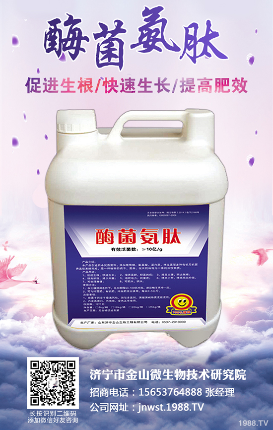 �r(n��ng)����ʺ�����ô�l(f��)������ʩ������α���ʺ��l(f��)����